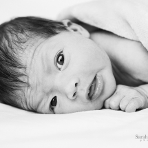 black and white newborn photography brisbane