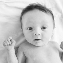 newborn baby photographer brisbane